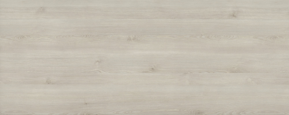 R55006_Pinie Fano weiß_gP.jpg